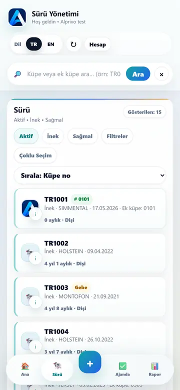 Sürü ekranı