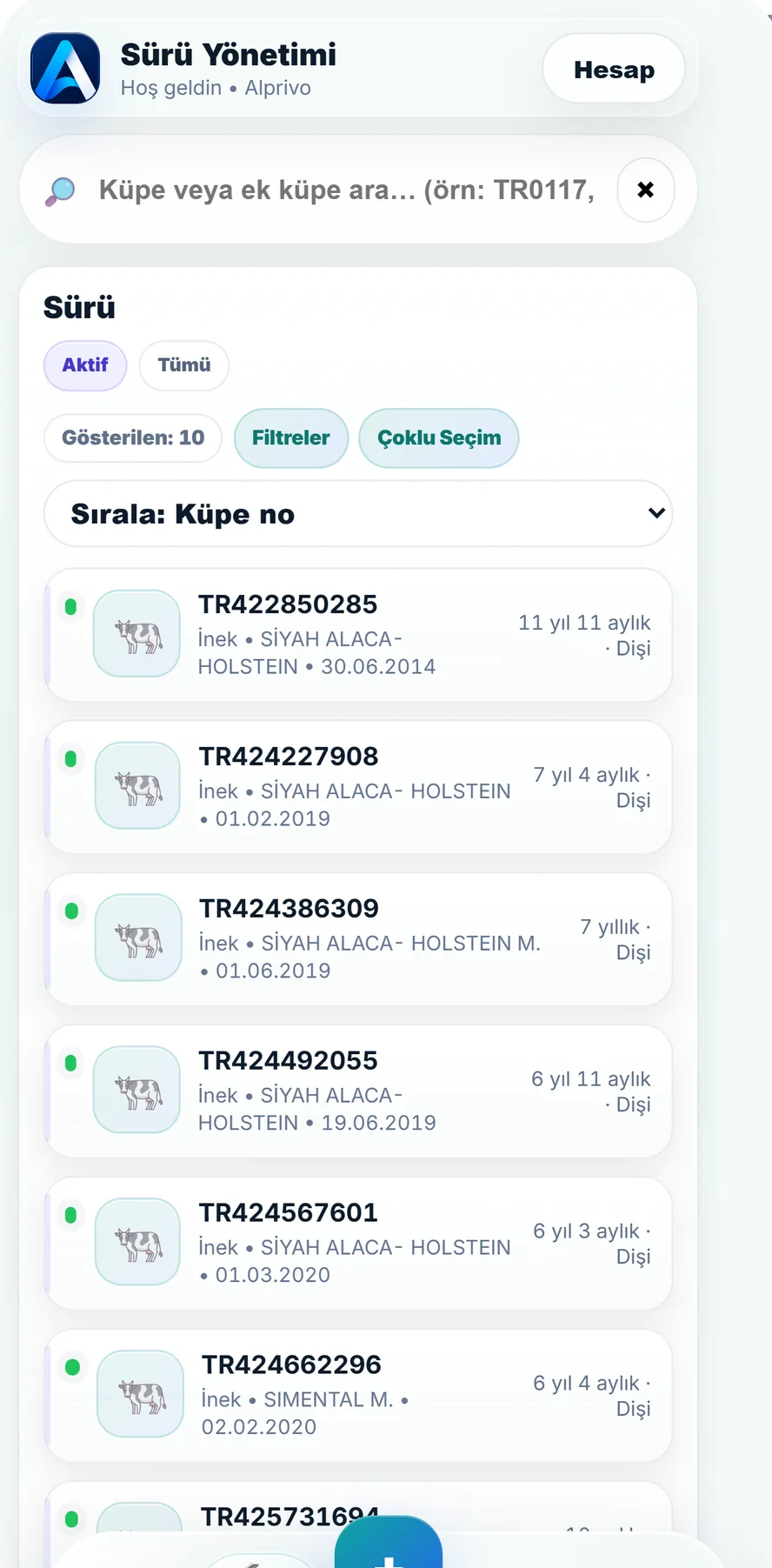 Alprivo Türkçe sürü ekranında hayvan arama, filtreler ve hayvan listesi