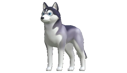Husky
