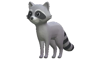 Raccoon